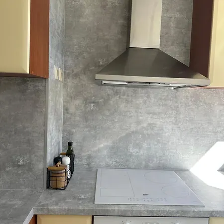 Utulny V Centru S Velkou Terasou Appartement